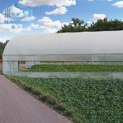 Roof Ventilation Tunnel Plastic Greenhouse With Cooling System