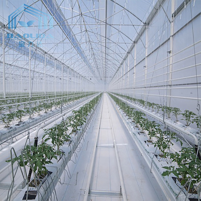 Tunnel Greenhouse Galvanized Steel Frame Structure Pipe Pe UV Plastic Film Vergetables Single-span Greenhouse