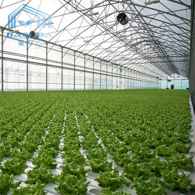 Aquaponis Growing Poly Tunnel Plastic Greenhouse For Agriculture