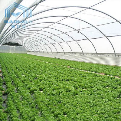 Aquaponis Growing Poly Tunnel Plastic Greenhouse For Agriculture