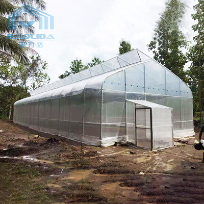 Hot Aluminum Zinc Plating Poly Tunnel Greenhouse For Agriculture