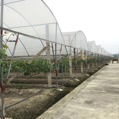 Multi Arch Plastic Film Rainout Shelter Greenhouse For Strawberry