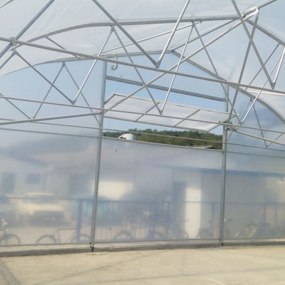 Agriculture High Tunnel Film Roller Clear Greenhouse Cover Plastic Film Single Tunnel Greenhouse