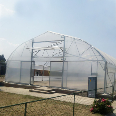 Agriculture High Tunnel Film Roller Clear Greenhouse Cover Plastic Film Single Tunnel Greenhouse