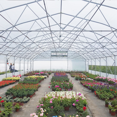 Agriculture High Tunnel Film Roller Clear Greenhouse Cover Plastic Film Single Tunnel Greenhouse
