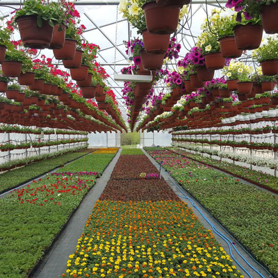 Agriculture High Tunnel Film Roller Clear Greenhouse Cover Plastic Film Single Tunnel Greenhouse