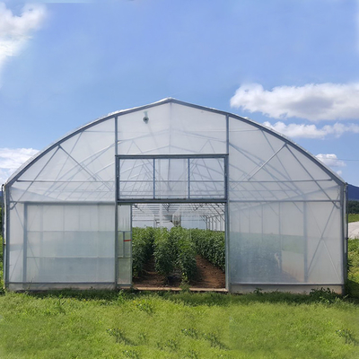 Agriculture High Tunnel Film Roller Clear Greenhouse Cover Plastic Film Single Tunnel Greenhouse