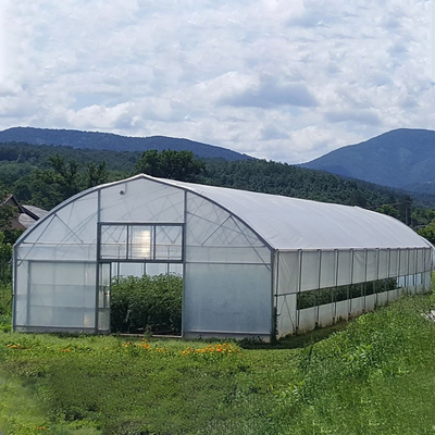 Agriculture High Tunnel Film Roller Clear Greenhouse Cover Plastic Film Single Tunnel Greenhouse