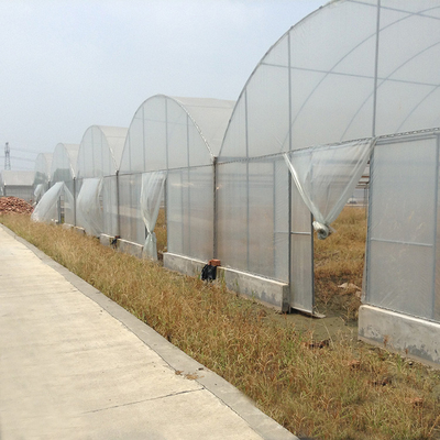 High Tunnel Agricultural Farming Multi Span Greenhouse For Flowers Growing