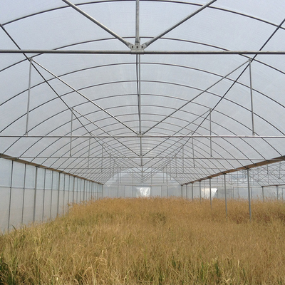 Agricultural Farming Multi Span Greenhouse Light Deprivation
