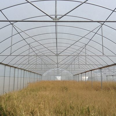 High Tunnel Agricultural Farming Multi Span Greenhouse For Flowers Growing