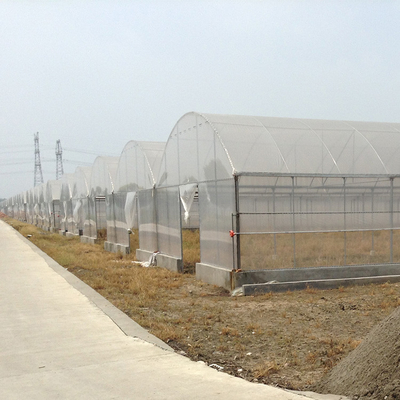 High Tunnel Pe Film Multi Span Greenhouse Automatic Control Agriculture Hydroponic