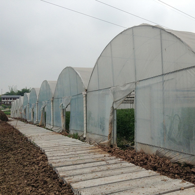 High Tunnel Agricultural Farming Multi Span Greenhouse For Flowers Growing