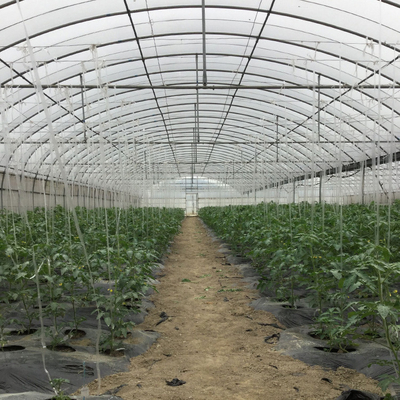 High Tunnel Pe Film Multi Span Greenhouse Automatic Control Agriculture Hydroponic