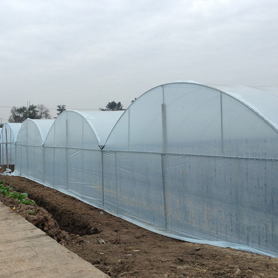 Agriculture Plastic Film Multi Span Greenhouse Tomato Strawberry Hydroponic