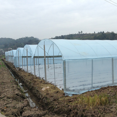 Agriculture Plastic Film Multi Span Greenhouse Tomato Strawberry Hydroponic