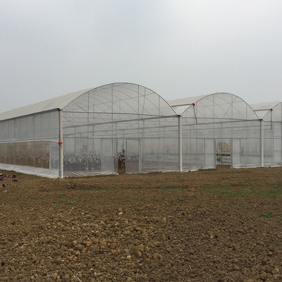 Poly Film Arch Tunnel Agriculture Vegetable Plastic Film Greenhouse Commercial