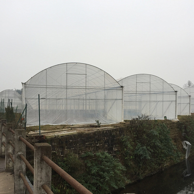 Poly Film Arch Tunnel Agriculture Vegetable Plastic Film Greenhouse Commercial