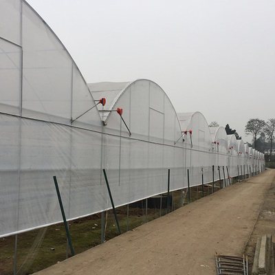 Poly Film Arch Tunnel Agriculture Vegetable Plastic Film Greenhouse Commercial