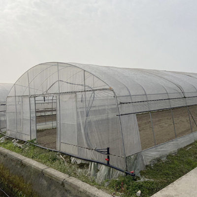 Tunnel Greenhouse Galvanized Steel Frame Structure Pipe Pe UV Plastic Film Vergetables Single-span Greenhouse