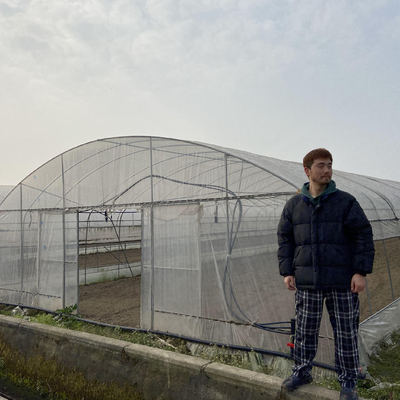 Plants Planting Agriculture Standard Plastic Film 8m 60m Pe Film Single Span Greenhouse