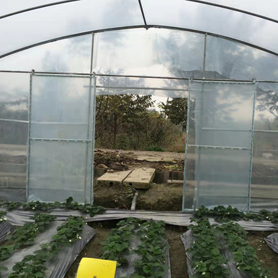 Plastic Film Low Tunnel Greenhouse Frame Single Span Tomato Cucumber Lettuce