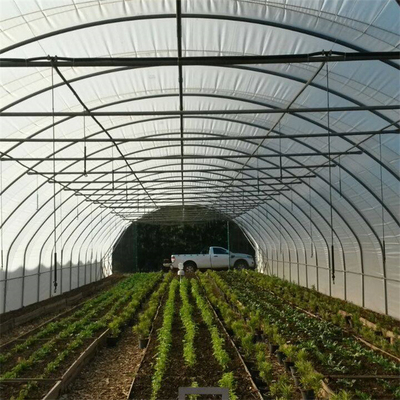 Hydroponic Metal Frame Tunnel Single Span Greenhouse Agriculture Farming Growing