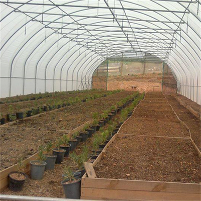 Hydroponic Metal Frame Tunnel Single Span Greenhouse Agriculture Farming Growing