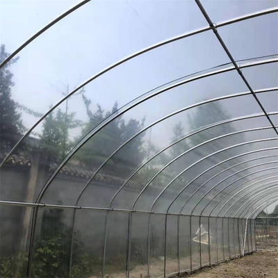 Single Span Plastic Tunnel Greenhouse Strawberry Hydroponic Growing System