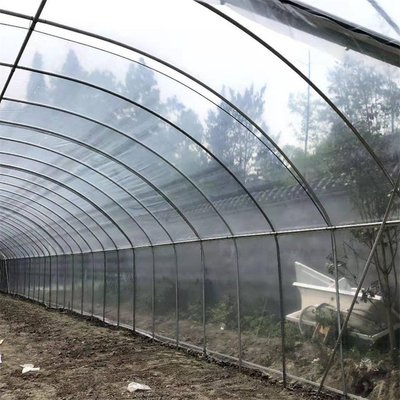 Single Span Plastic Tunnel Greenhouse Strawberry Hydroponic Growing System