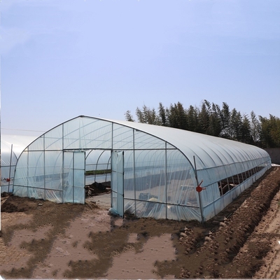 Agricultural High Hoop Arch Polyethylene Film Greenhouse For Planting