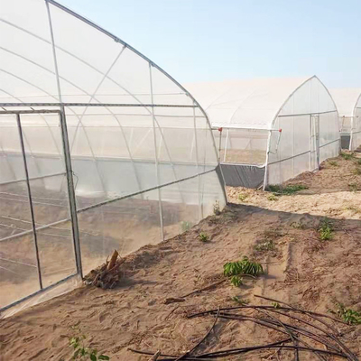 Single Span Plastic PE Film Agricultural Tunnel Greenhouse With Drip Irrigation System