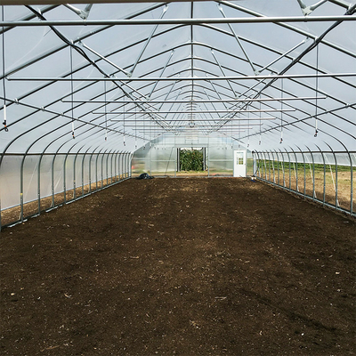 Galvanized Steel Frame Single Span PE Film Greenhouse For Flower Planting