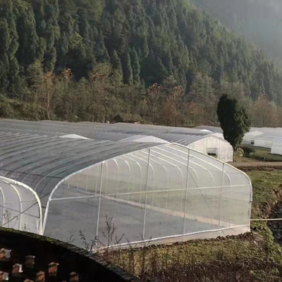 200 Micro PE Film Tunnel Plastic Single Span Greenhouse For Agriculture Plants Growing