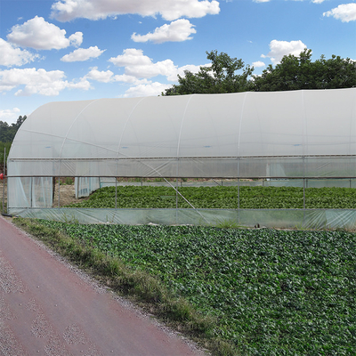 Plastic Film Covering Shed Agricultural 8M Single Span High Tunnel Greenhouse