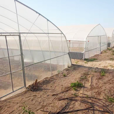 High Tunnel 150 Micron PE Film Single Span Greenhouse For Agricultural Project