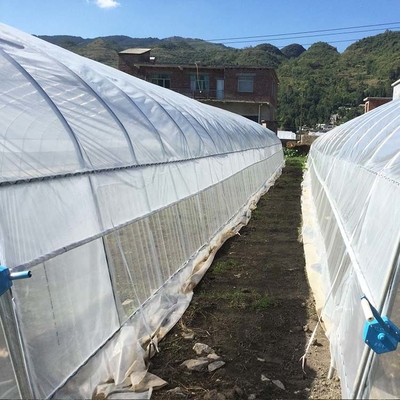 High Tunnel 150 Micron PE Film Single Span Greenhouse For Agricultural Project