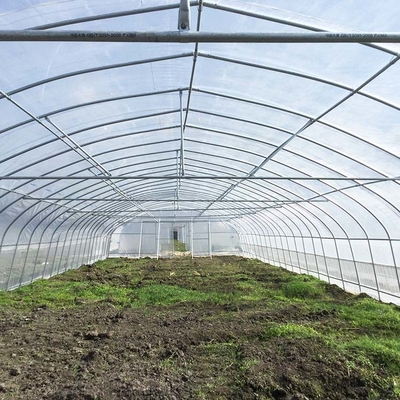 High Tunnel 150 Micron PE Film Single Span Greenhouse For Agricultural Project