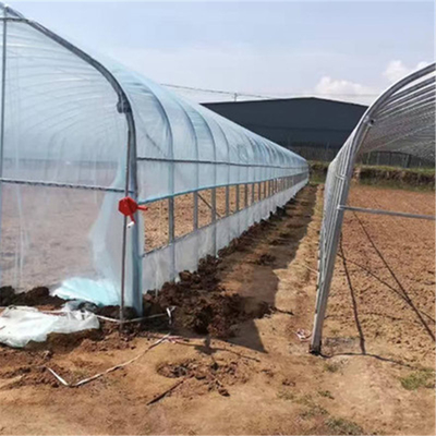 Polyethylene Film Tunnel Steel Frame Greenhouse Single Span Ground Inserted