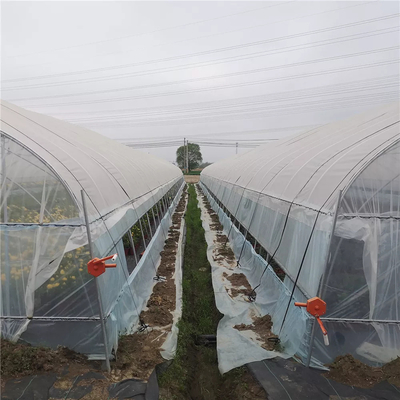 Agricultural Tomatoes Single Layer Greenhouse With 80 Micron Film