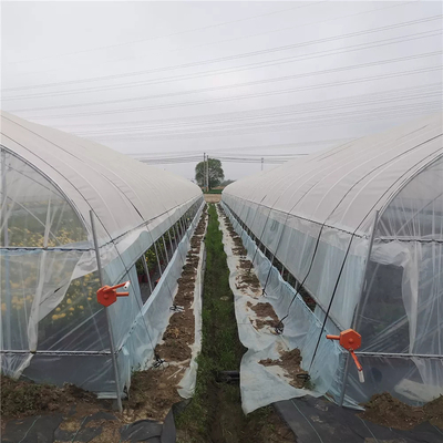 Mini Hot Stove Poly Tunnel Walk In Greenhouse Plastic Covering Tunnel Plastic Greenhouse