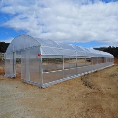 Polyethylene Film Tunnel Steel Frame Greenhouse Single Span Ground Inserted