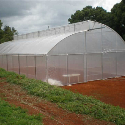 Customized High Tunnel Polytunnel Double Film Greenhouse Sawtooth Tunnel Plastic Greenhouse
