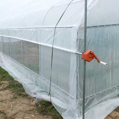 Vegetable Growing Plastic Film Greenhouse / Tunnel Single Span Greenhouse