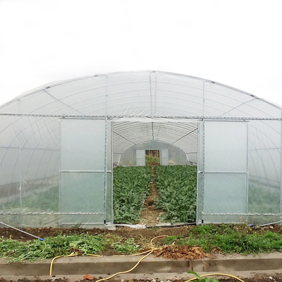 Galvanized Steel Frame Single Span PE Film Greenhouse For Flower Plant