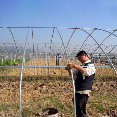 Galvanized Steel Frame Single Span PE Film Greenhouse For Flower Plant