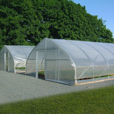 Agricultural Greenhouse Plastic Sheet Film Tunnel Single Span Cheap Greenhouse