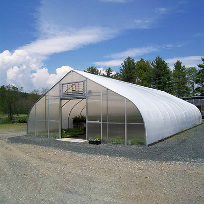 Agricultural Greenhouse Plastic Sheet Film Tunnel Single Span Cheap Greenhouse