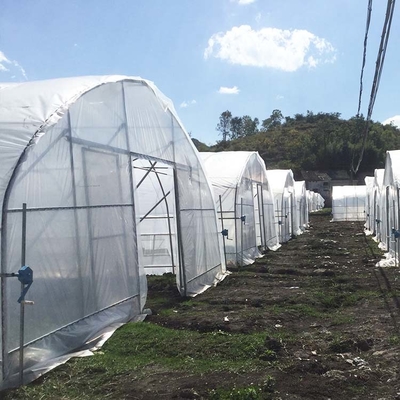 Agricultural Singlespan Tunnel Plastic Film Tropical Greenhouse