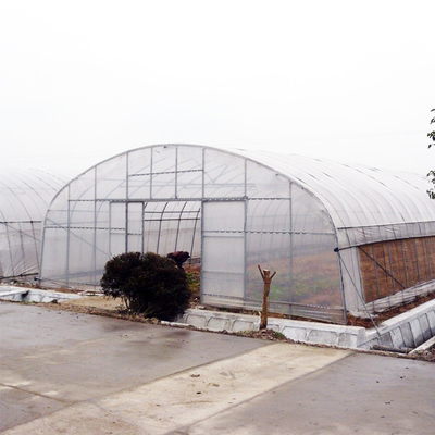Side Ventilation Plastic Single Span Tunnel Polyethylene Film Greenhouse
